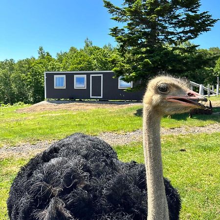 Margo'S Garden Farmstay, Kiroro 아카이가와 외부 사진